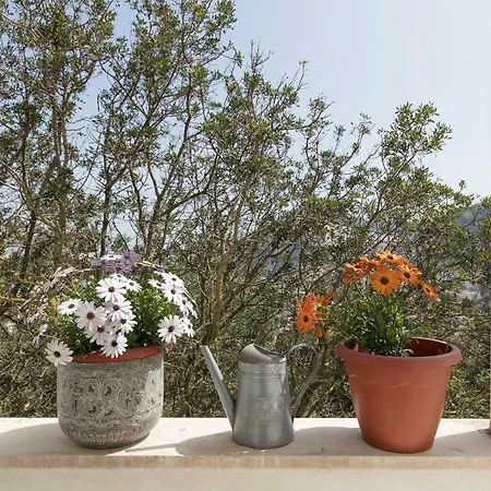 Vila Casa Capaianca *
